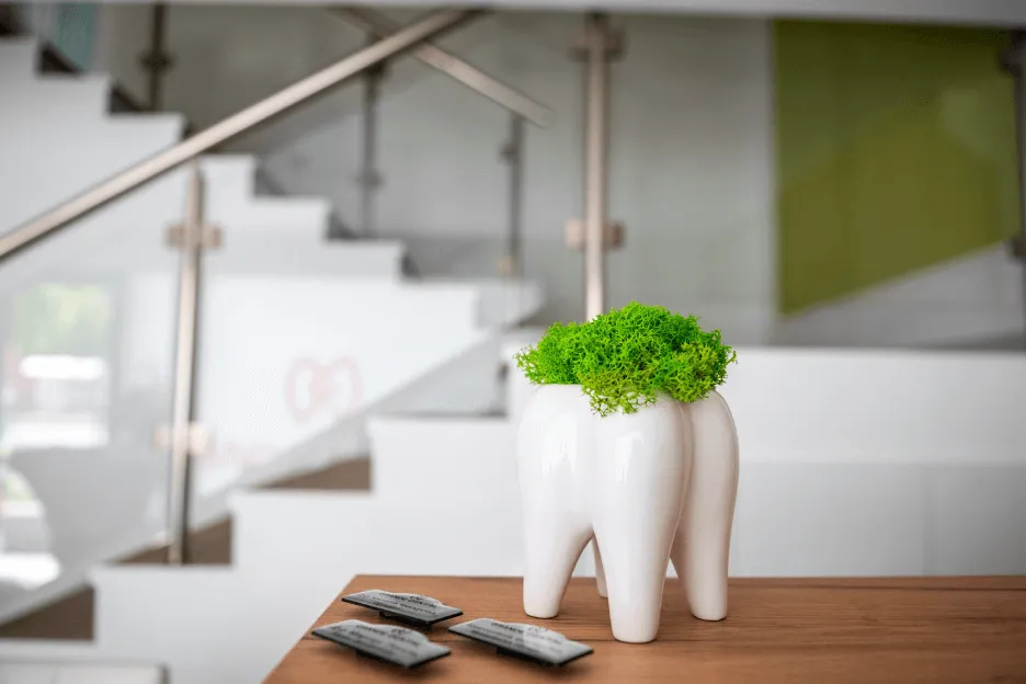 Ваза, оформена като зъб, с малко растение, изправено в нея, на фон на интериор на дентална клиника.
